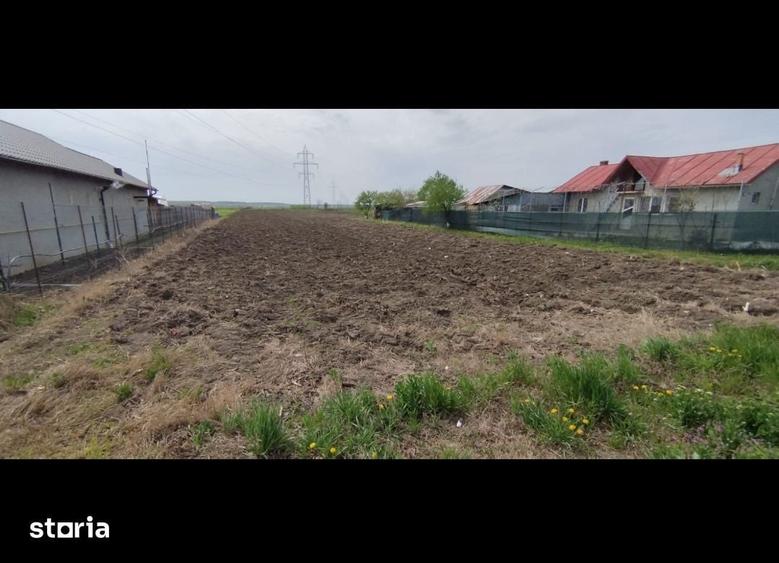 TEREN CASE -MANESTI AER CURAT -canal irirgatii cu apa spate teren - 5