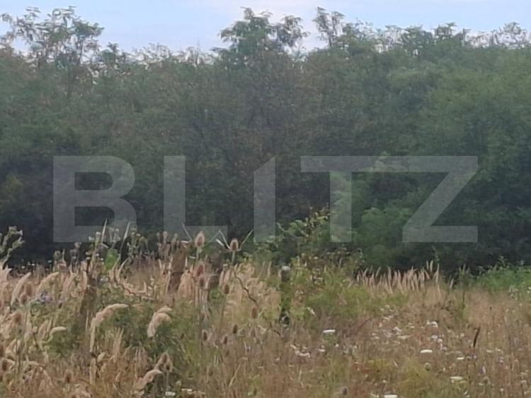 Teren extravilan de 7500 mp, în Șuța Seacă