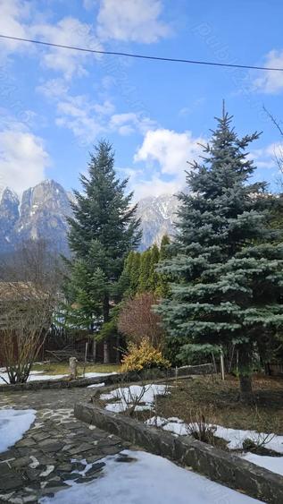 Casă cu Teren 675 Mp în Poiana