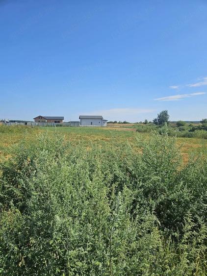 Teren de 3774 mp, în Copăceni