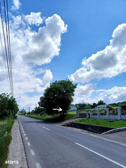 Teren de 4200 mp, în Târnăveni