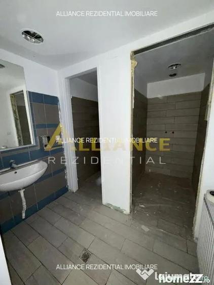 Spatiu Comercial - Parc Carol - 233mp - 1