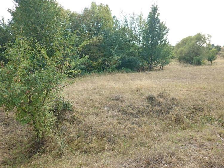 Teren agricol extravilan de 9059 mp, în Exterior Est