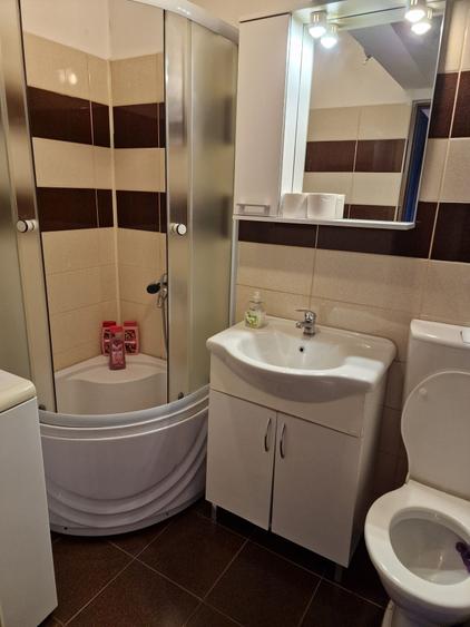 Apartament cu 2 camere decomandat în Dosu Bricii