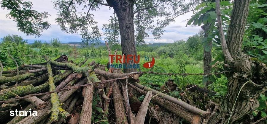 Teren de 1300 mp, în Straja