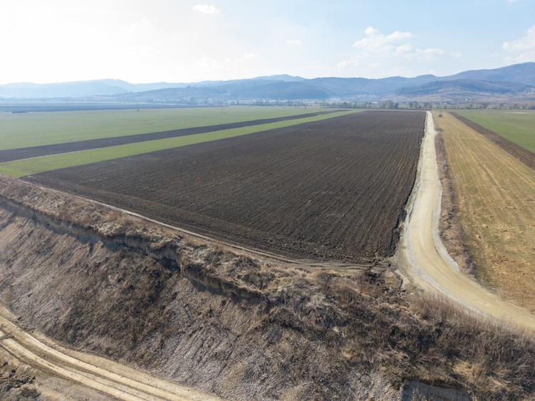 Teren agricol extravilan de 19239 mp, în Vulcan