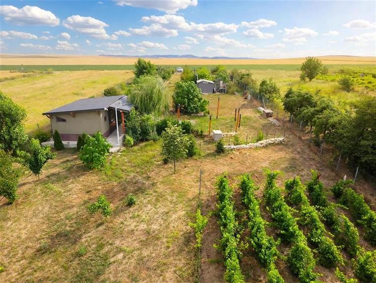 Teren de vanzare in localitatea Cataloi Tulcea - 19