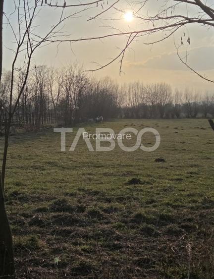 Teren intravilan 540 mp zona Livezi cu vedere spre munte PUZ