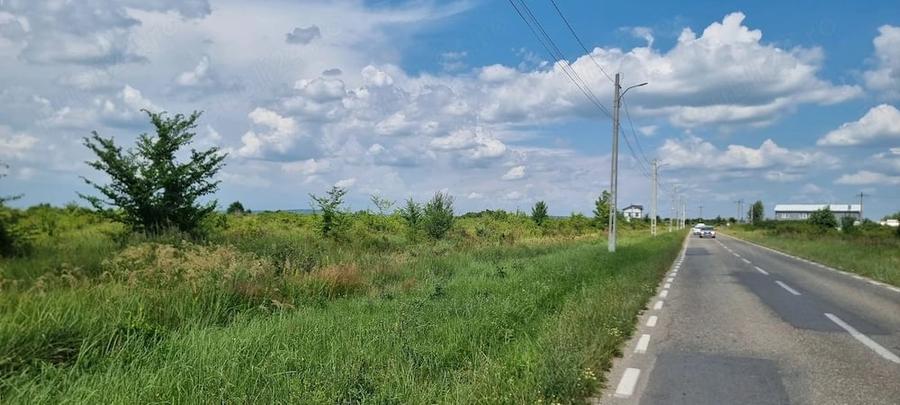 Teren de 8000 mp, în Bradu