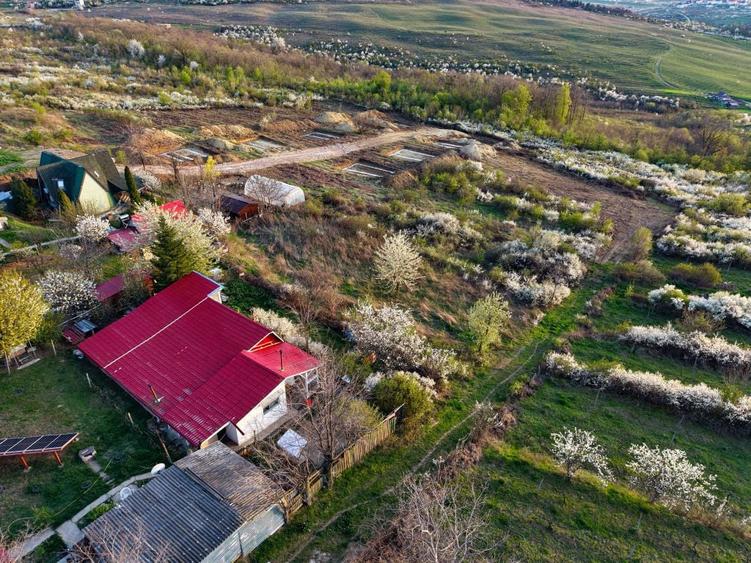 Teren de 900 mp, în Central