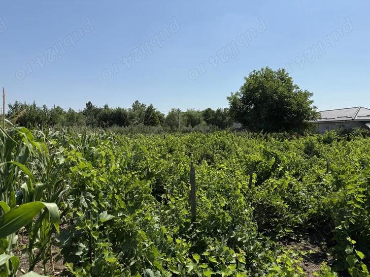 Teren de 1100 mp, în Central