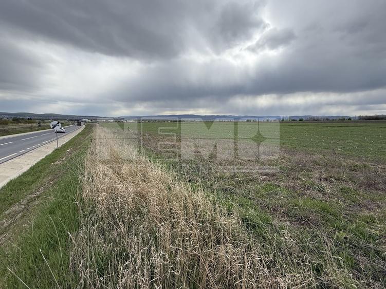 Teren agricol extravilan de 5063 mp, în Horodnic de Sus