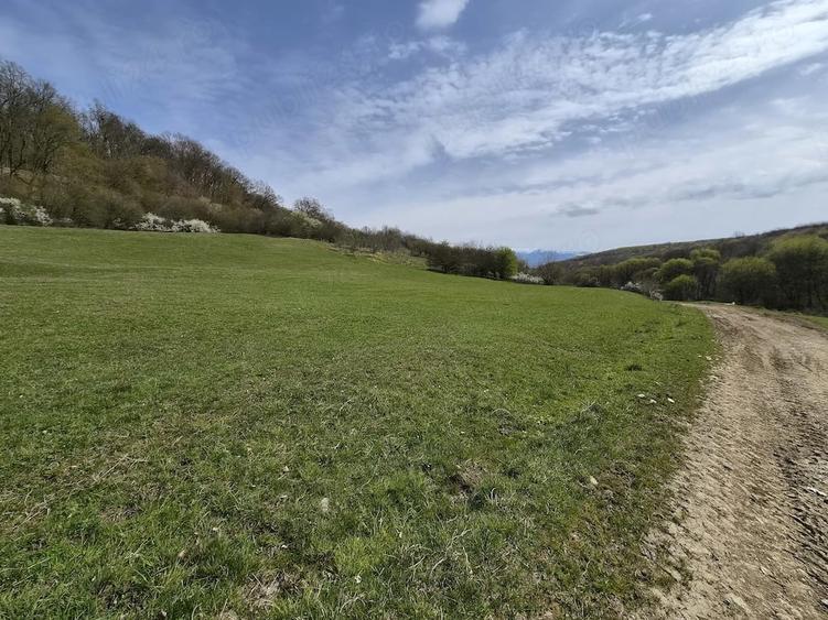 Teren de 2500 mp, în Central