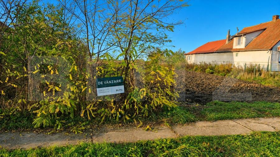Teren agricol intravilan de 27958 mp, în Vetiș
