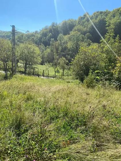 Teren intravilan de 2500 mp, în Urseiu