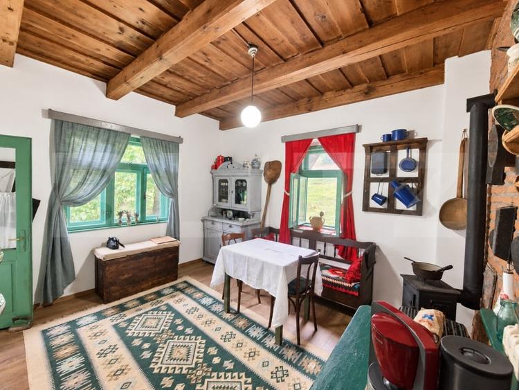 Casă individuală cu 3 camere cu Teren 5032 Mp în Geaca