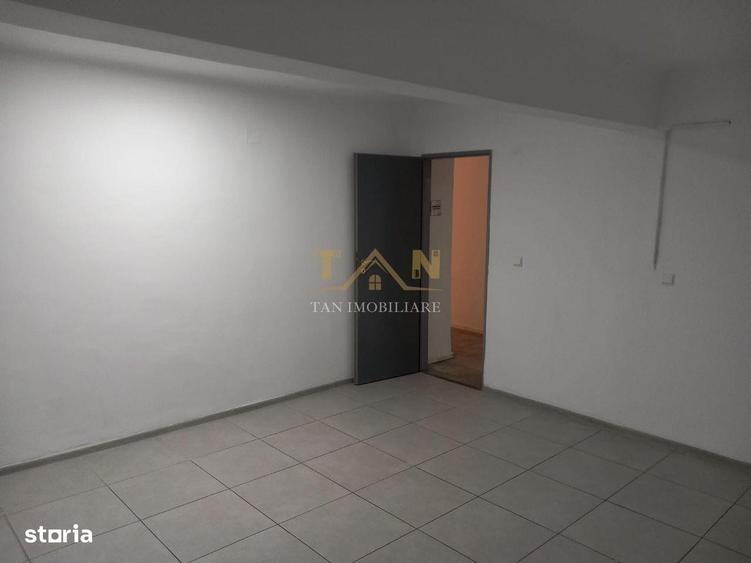 Spațiu comercial, de 100 mp, în Take Ionescu