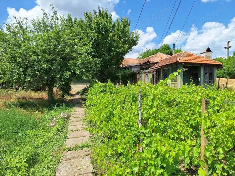 Teren cu casa de vanzare - 7