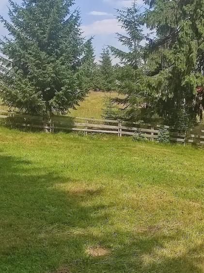 Teren de 3000 mp, în Beliș