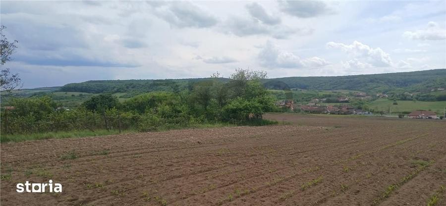 Teren de 500 mp, în Hidiș