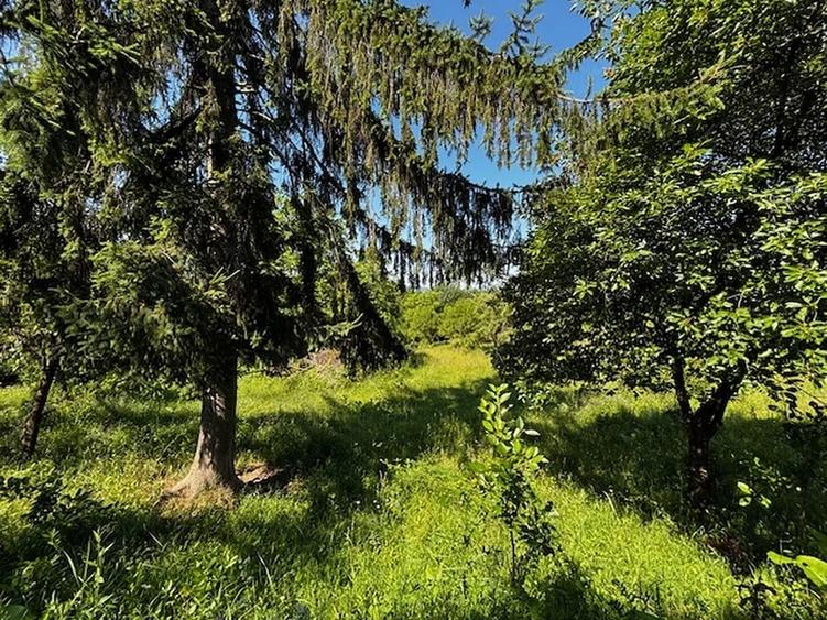 Teren de 3100 mp, în Dăești