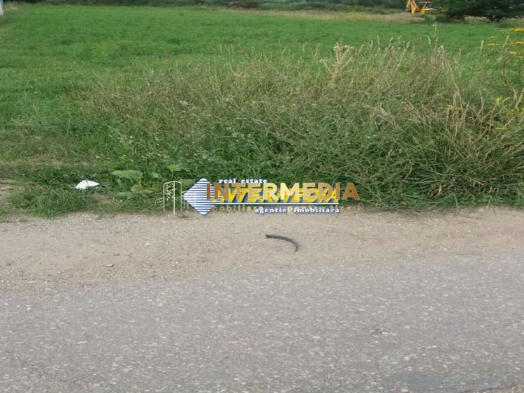 Teren Construcții intravilan de 3165 mp, în Cetate