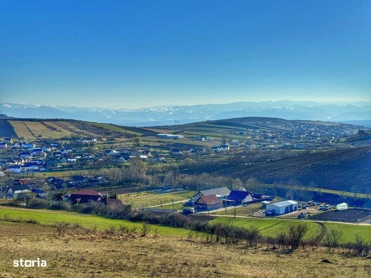 Parcele Teren Intravilan Zona Hamba-Sura Mare - 1