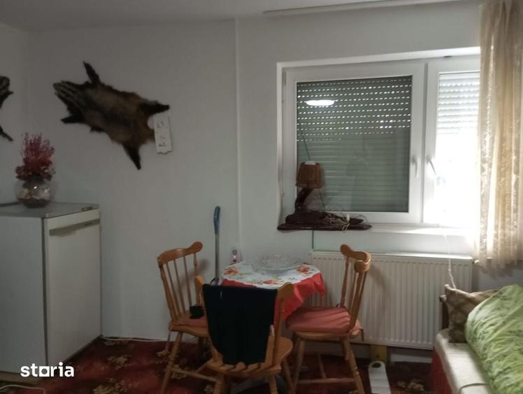 De vanzare casa cu teren 1520mp sat Dumbrava, Capusu Mare - 11