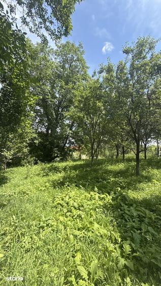 Teren de 2960 mp, în Talea