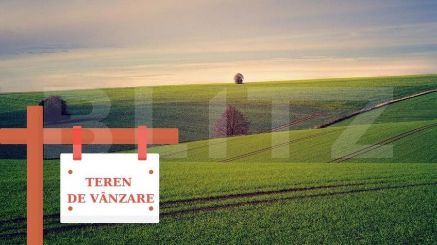 Teren extravilan, 125000 mp, Timis! - 1