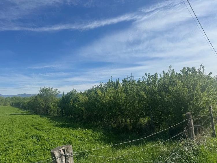 Teren de 3000 mp, în Central