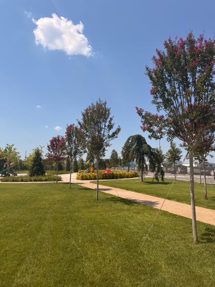 Apartament cu 3 camere decomandat în Militari
