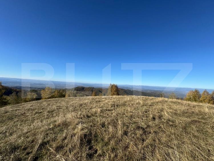 Teren agricol extravilan de 54722 mp, în Orăștie