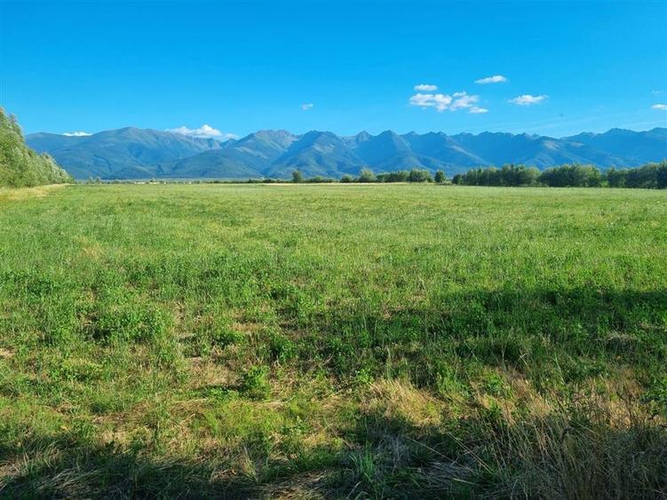 Teren Construcții intravilan de 17529 mp, în Central