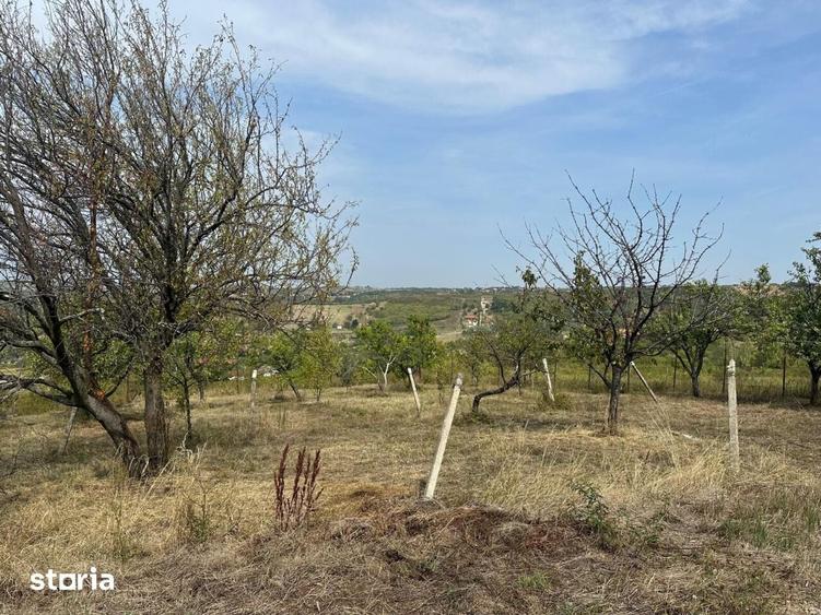 Teren de 1665 mp, în Podgoria