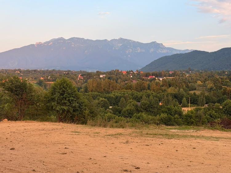 Spațiu comercial, în Tohănița