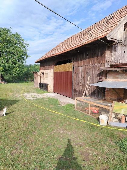 Casă cu 4 camere cu Teren 1820 Mp în Bădeni