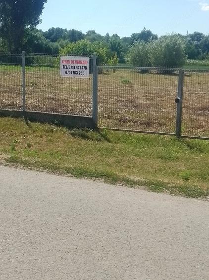 Teren de 2500 mp, în Dobrovăț
