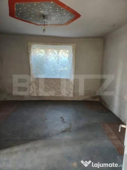 Casă cu 2 camere cu Teren 3750 Mp în Ceanu Mare