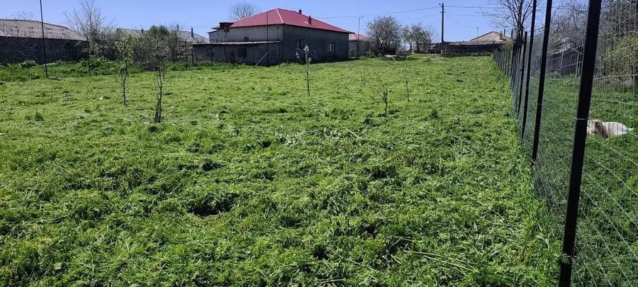 Teren de 1400 mp, în Dulcești