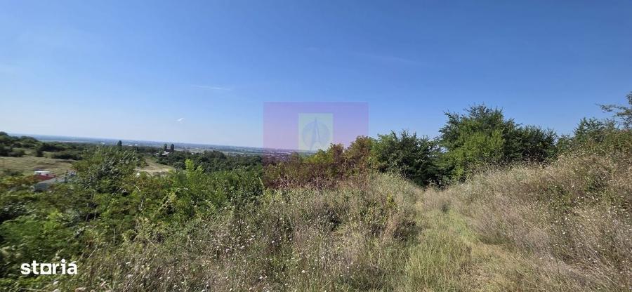 Spațiu comercial, în Boldești