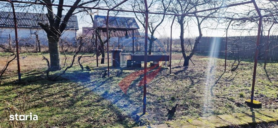 Casă cu 3 camere cu Teren 7952 Mp în Brădești