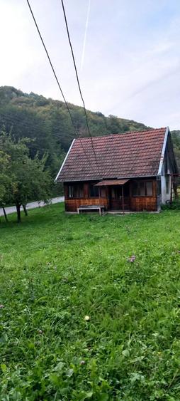 Casă cu Teren 10000 Mp în Bulzeștii de Jos