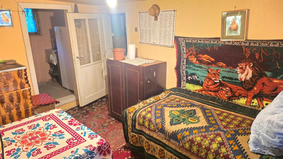 Casă individuală cu 3 camere cu Canalizare în Viile Noi