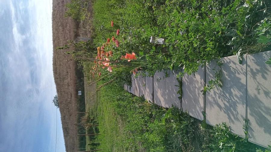 Teren de 1800 mp, în Gădălin
