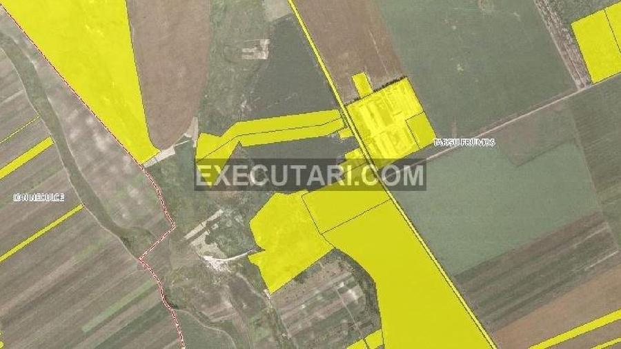 Teren agricol intravilan de 40000 mp, în Central