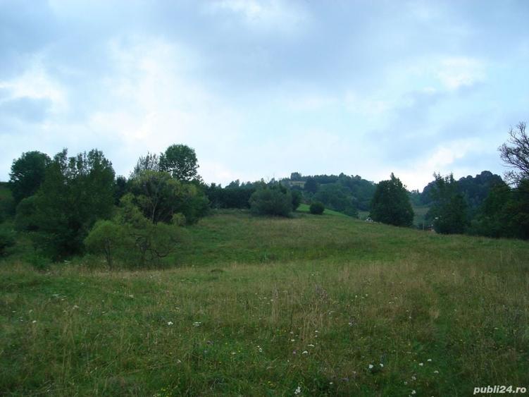 Teren de 25500 mp, în Vișagu