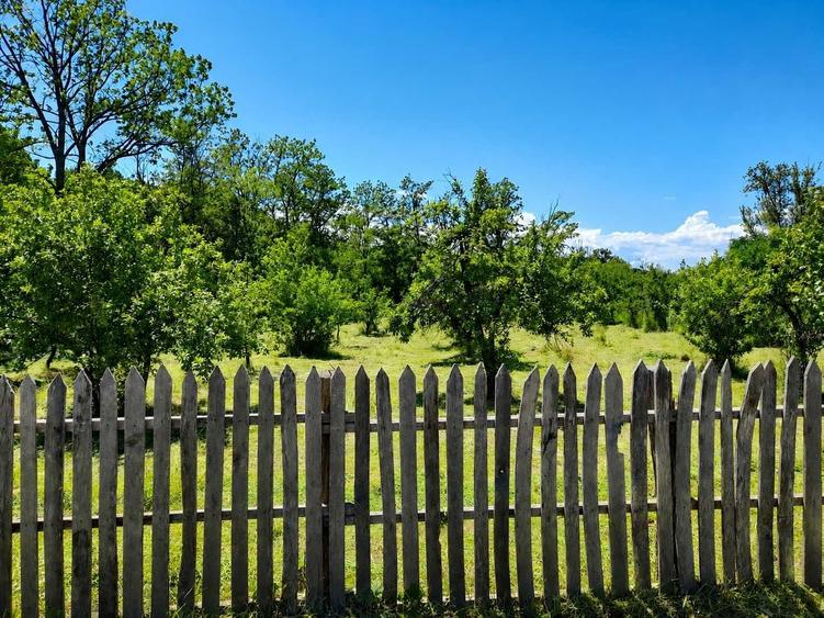 Teren de 1570 mp, în Băbana