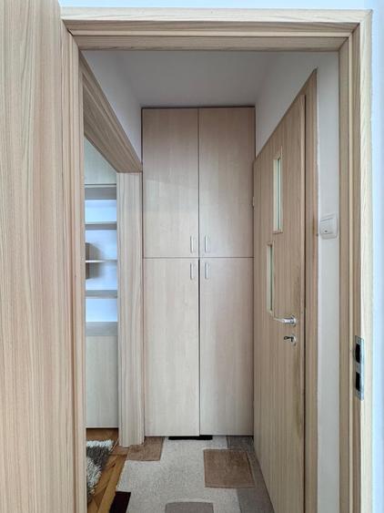 Apartament cu 2 camere nedecomandat, mobilat în Gemenii