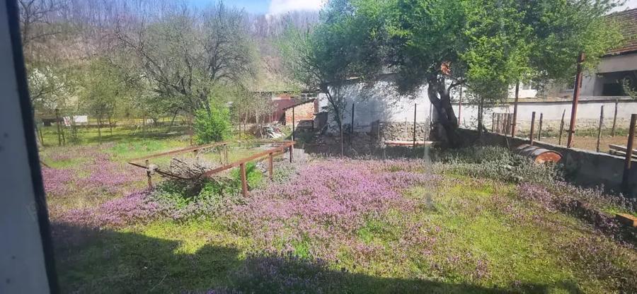 Spațiu comercial, de 750 mp, în Câlnic